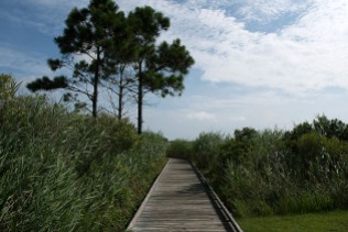 Bodie Island Lighthouse, Walkway through Marshes