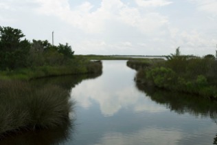 Bodie Island Lighthouse, Marshes